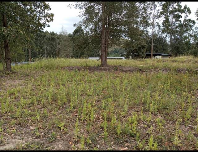 LAND FOR SALE IN MARGATE